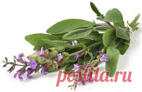 Дневник Виталина77777