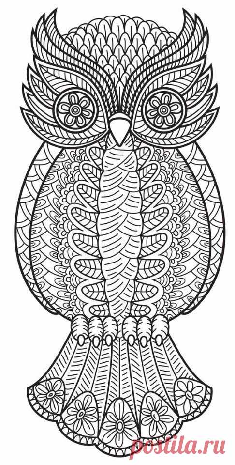 Сделай сам!