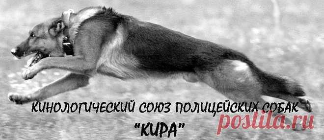 Кинологический союз полицейских собак - Главная страница