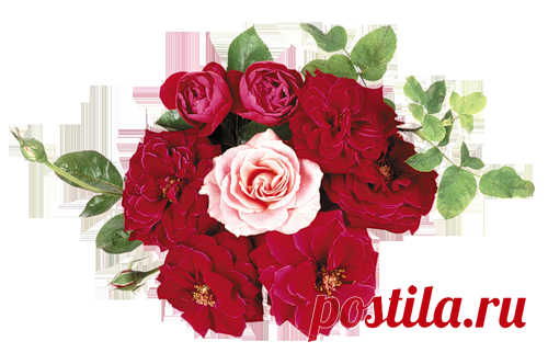 песок морской на прозрачном фоне - Поиск в Google