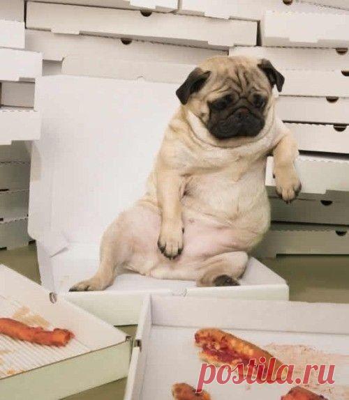 Вторая пицца была лишней...