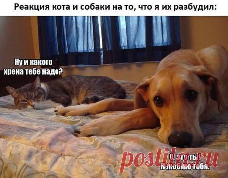 Мой Мир@Mail.Ru