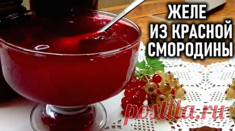 Вкуснейшее желе из красной смородины Заготовки на зиму из смородины | Любимая усадьба | Дзен