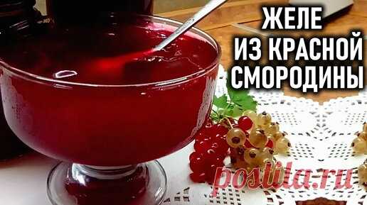 Вкуснейшее желе из красной смородины Заготовки на зиму из смородины | Любимая усадьба | Дзен