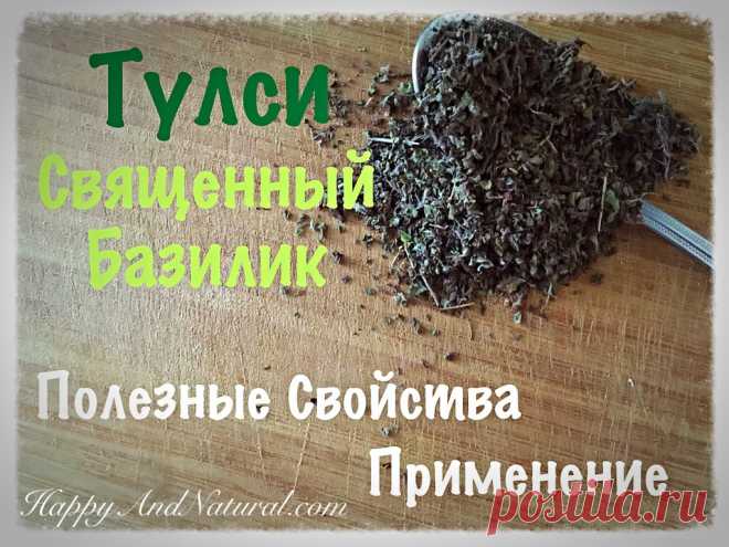 Тулси или Священный Базилик: полезные свойства и применение - Happy & Natural