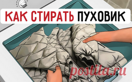 Стиль жизни