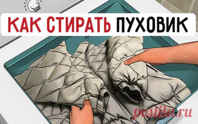 Стиль жизни