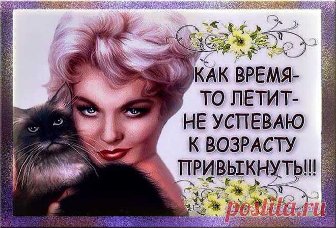 13397557.jpg (1024×697)