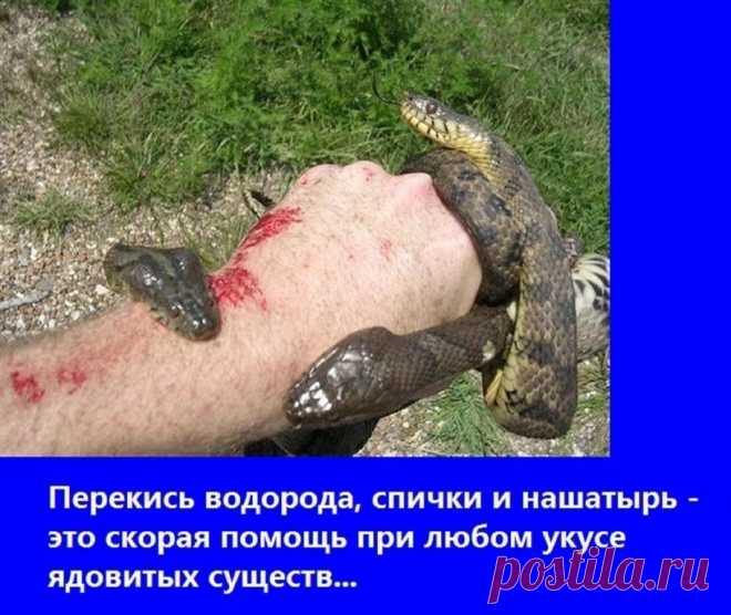 Всем на заметку!