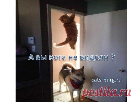 (24) Одноклассники