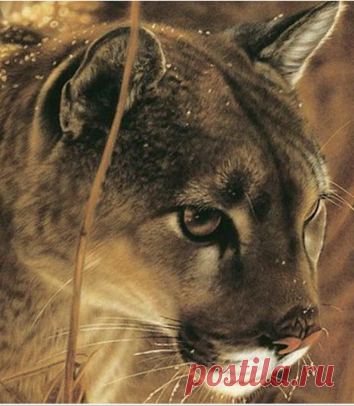 Картины, которые идут от сердца. Художница Lesley Harrison