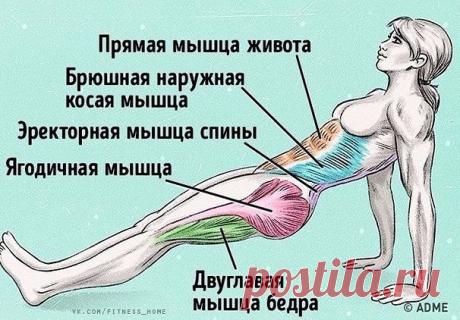 1 непрочитанный чат