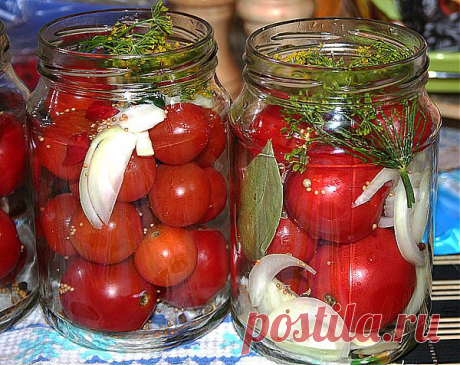 Сахарные помидоры «