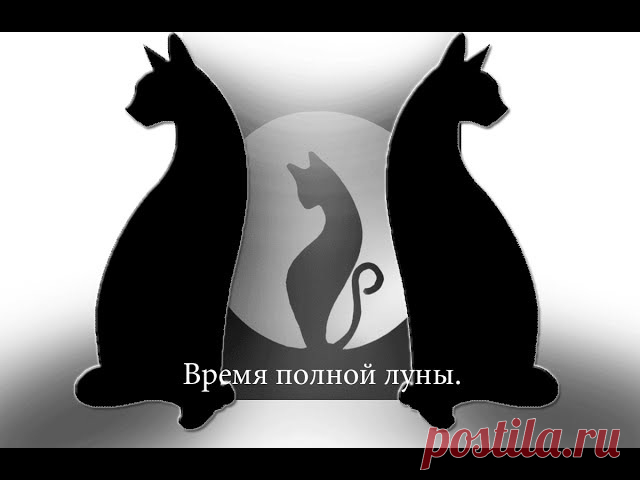 Марина Паринова
