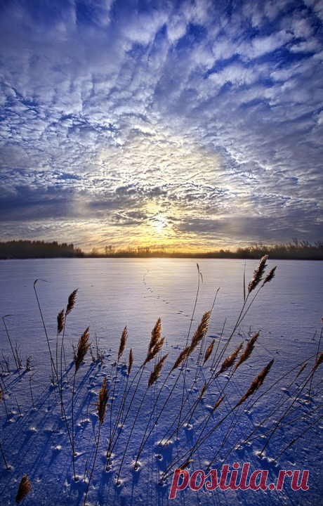 Belle nature