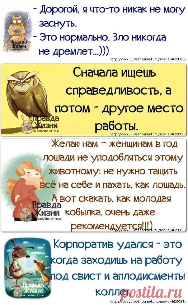 Не в бровь, а в глаз!.