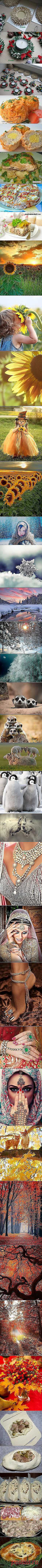 Позитив:) и другие материалы. Новое в Вашей подборке на Постила.ru - npmed72@mail.ru - Почта Mail.Ru