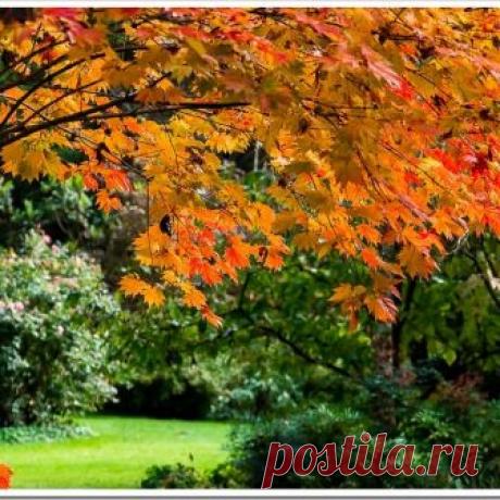 malta-handmade: сентября 2012