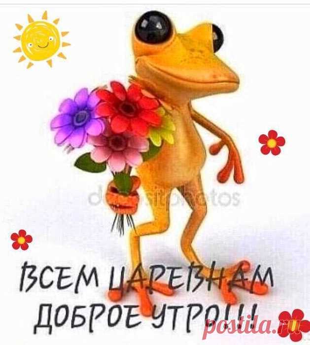 Юмор>Улыбнитесь!