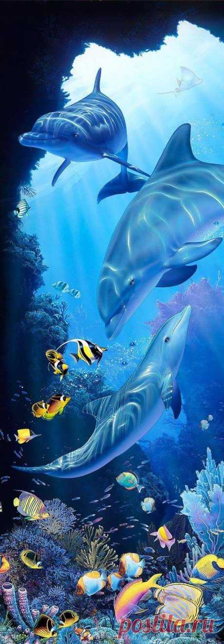 (307) Pinterest
