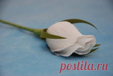 Малый бизнес на дому: Букеты из конфет своими руками: 70 фото создания карамельных и шоколадных цветов