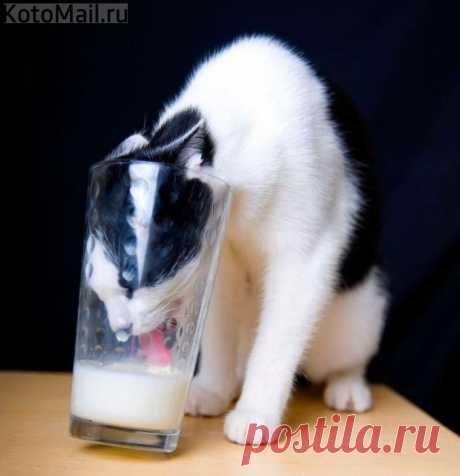 Молочное настроение