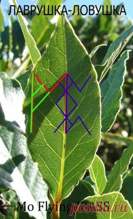 "ЛАВРУШКА-ЛОВУШКА" - рунический став талисман на деньги в кошелёк.