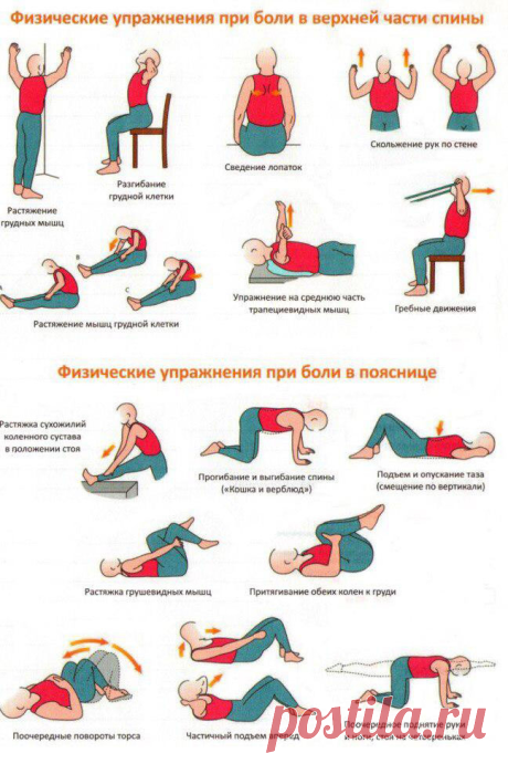 Физические упражнения