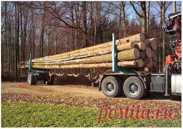 Работа для Лесовозов и Хлыстовозов 
работа по вывозки леса 50.000 куб заготовлено.
пос Андра (Приобье)- Нягань 
Плечо; 100-200 км.
Переправа через реку по зимнику.
потребность 5 хлыстовозов.лесовозов.
Запрс ставки за куб перевозки.
http://special-service.info/
frizen196910@mail.ru
89045471839.89638564422.