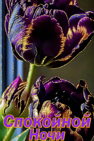 Спокойной ночи