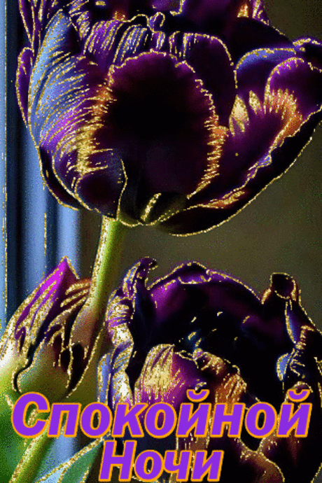 Спокойной ночи