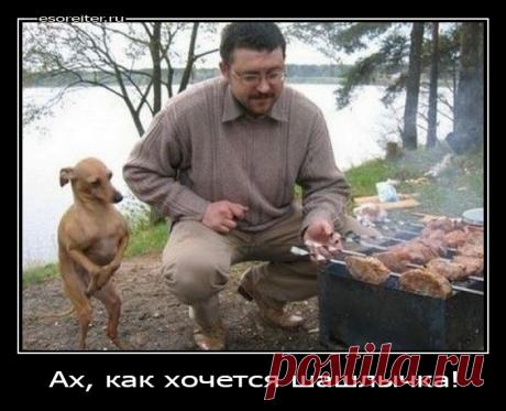 Нетерпеливый Тяпа