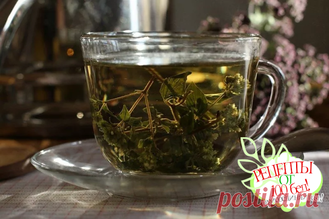 Травяной сбор для очищения организма.
========================
ПОДЕЛИТЕСЬ С БЛИЗКИМИ!


Среди народных рецептов существует сбор, который по степени очищения организма вполне может заменить вам 40-дневный пост. Травы, которые входят в его состав, помогают расщеплять и выводить из организма жировые и известковые отложения, улучшают обмен веществ, очищают сосуды и делают их более эластичными, что предупреждает развитие опухолей, стенокардии, инфаркта и склероза. У вас пройдет...