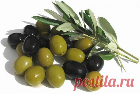 То, что лечит!.