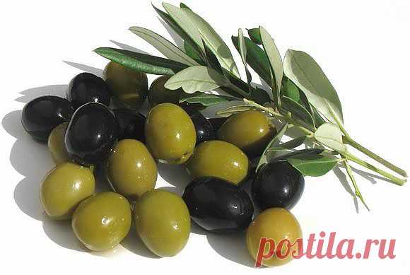 То, что лечит!.