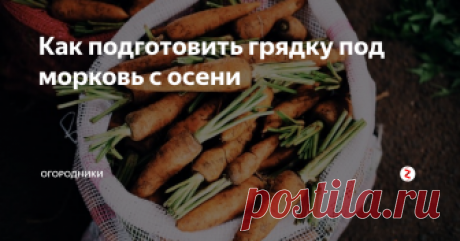 Как подготовить грядку под морковь с осени Готовь сани летом, а грядку для будущего урожая – осенью. Это, пожалуй, самая актуальная присказка для всех огородников. Давайте же попробуем понять, что надо сделать, чтобы на будущий год получить отменный урожай моркови.
