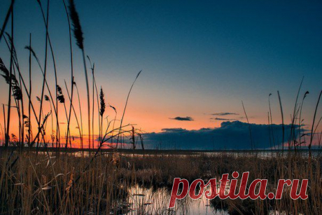 Рассветы, закаты...