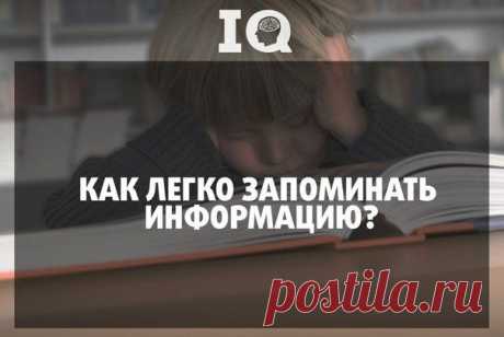 Способность учиться, а значит, и запоминать информацию — возможно, одно из самых важных умений для человека.