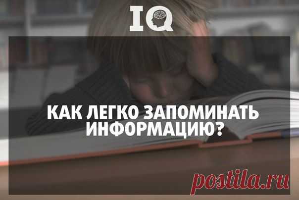 Способность учиться, а значит, и запоминать информацию — возможно, одно из самых важных умений для человека.
