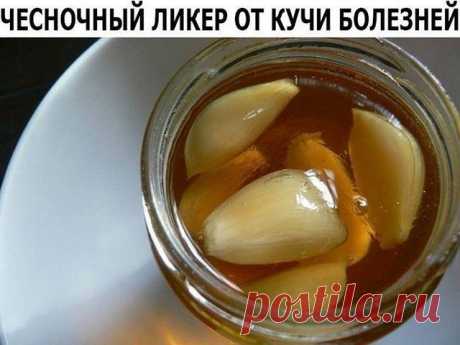 Эта уникальная настойка способна излечить буквально все жизненно важные системы человеческого организма.