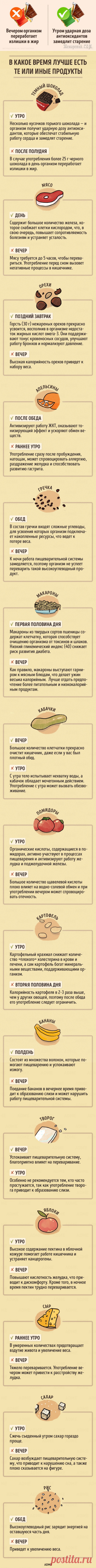 В какое время дня лучше есть те или иные продукты
