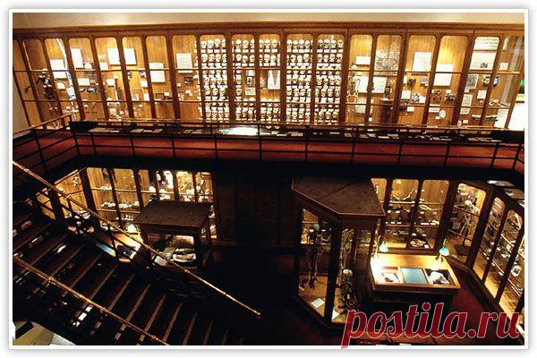 Самые страшные места на Земле. | Мировоззрение