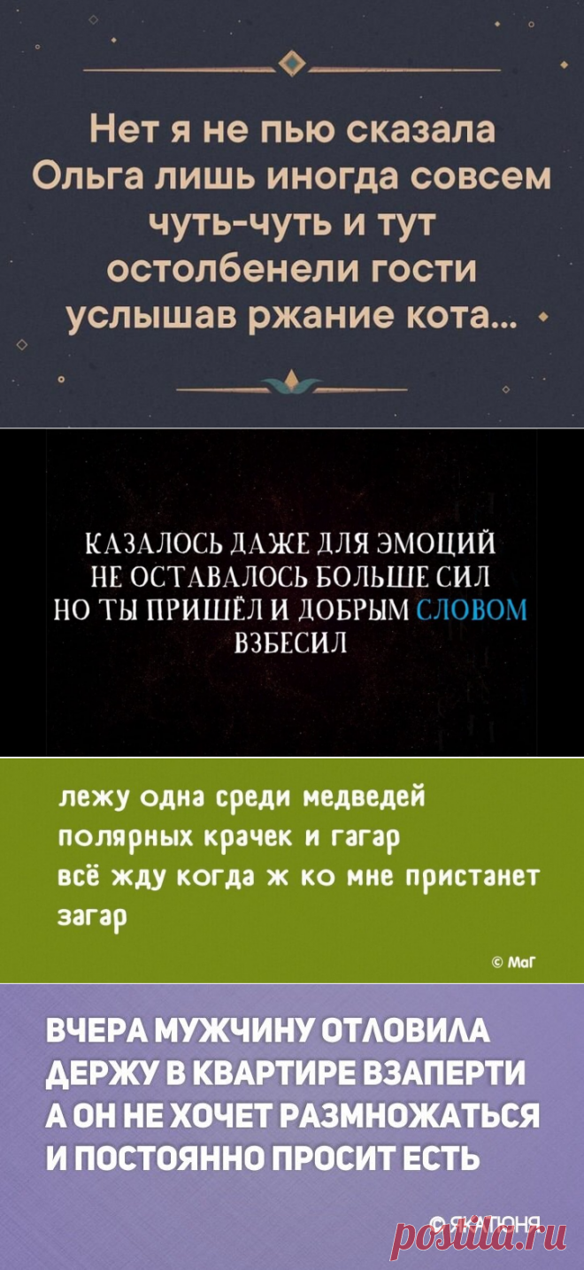 Сосед колотит вечно в стену как тут освоишь барабан | Чеширский кот | Яндекс Дзен