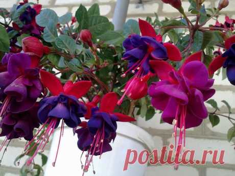 х х
6 лет, Украина, Лутугино
все её фото