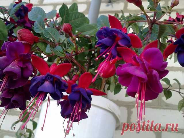 х х
6 лет, Украина, Лутугино
все её фото