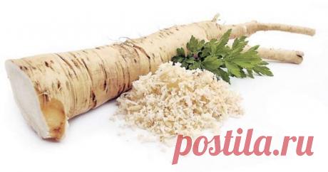 Легкий способ восстановить память, слух и зрение, а также избавиться от многих проблем со здоровьем!
Хрен – это удивительный овощ, который имеет большую питательную ценность. В значительной части мира он высоко ценится из-за его бесчисленных свойств и преимуществ для нашего организма. Хрен богат витамином С, кальцием, белками и не только, поэтому он борется с множеством болезней, от кожных...
Читай пост далее на сайте. Жми ⏫ссылку выше