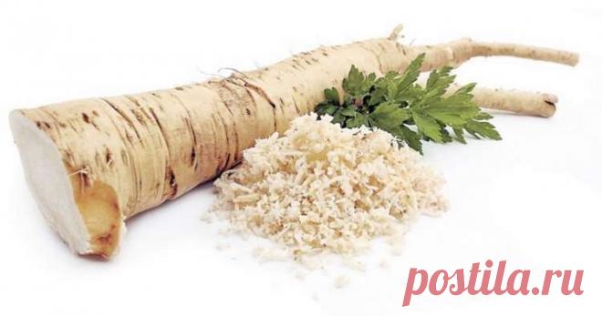 Легкий способ восстановить память, слух и зрение, а также избавиться от многих проблем со здоровьем!
Хрен – это удивительный овощ, который имеет большую питательную ценность. В значительной части мира он высоко ценится из-за его бесчисленных свойств и преимуществ для нашего организма. Хрен богат витамином С, кальцием, белками и не только, поэтому он борется с множеством болезней, от кожных...
Читай пост далее на сайте. Жми ⏫ссылку выше