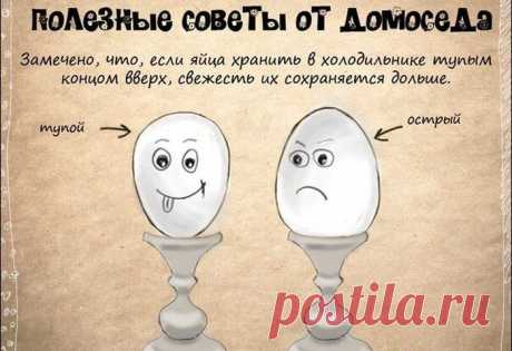 Подборка советов, которые пригодятся в быту. В картинках | Я так вижу