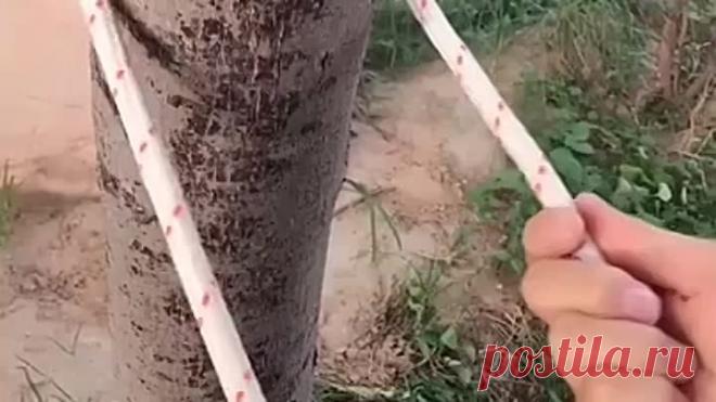 Узлы На заметку