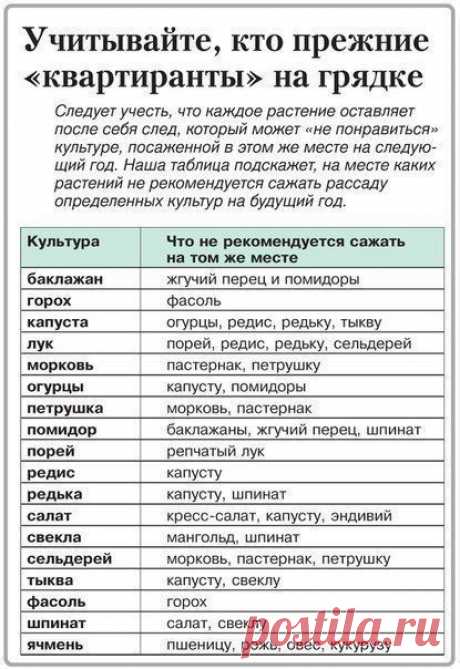 ВО САДУ ЛИ, В ОГОРОДЕ - с любовью к земле